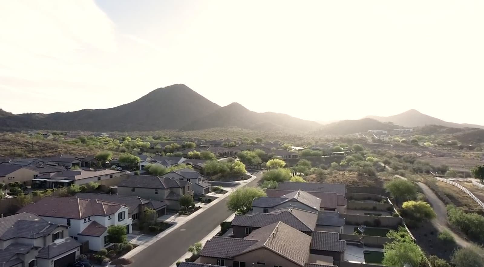 Gallery image 5 — commercial pest control Phoenix