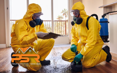 professional mold testing Miami