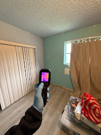 About fire damage cleanup Lakeland