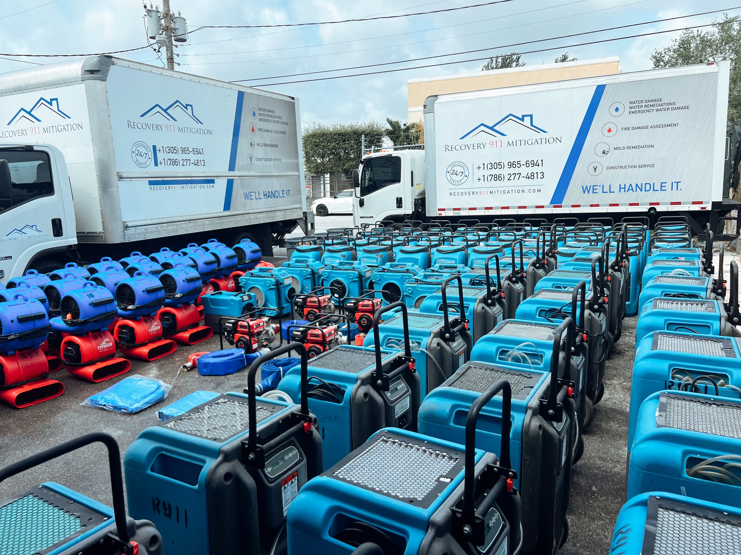 mold remediation company FL