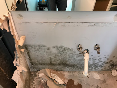 Gallery image 5 — black water cleanup Miami