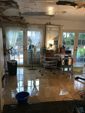 Gallery image 3 — black water cleanup Miami