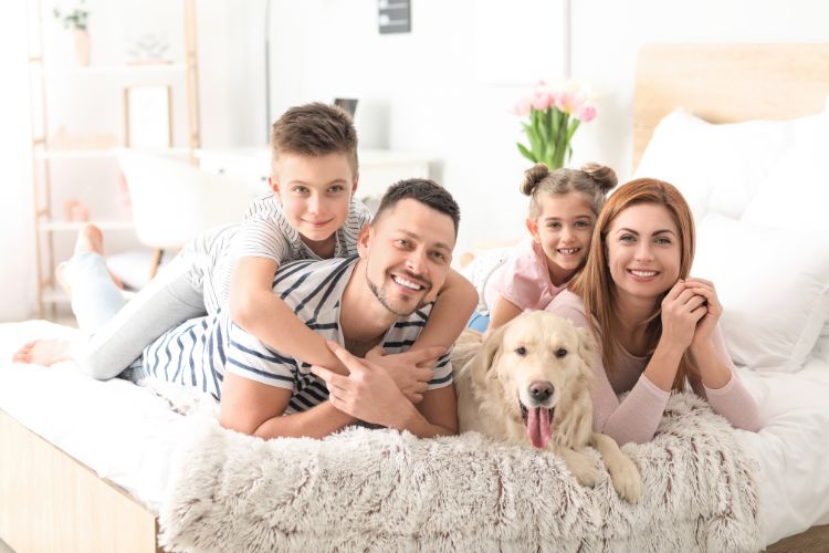 bed bug treatment Phoenix