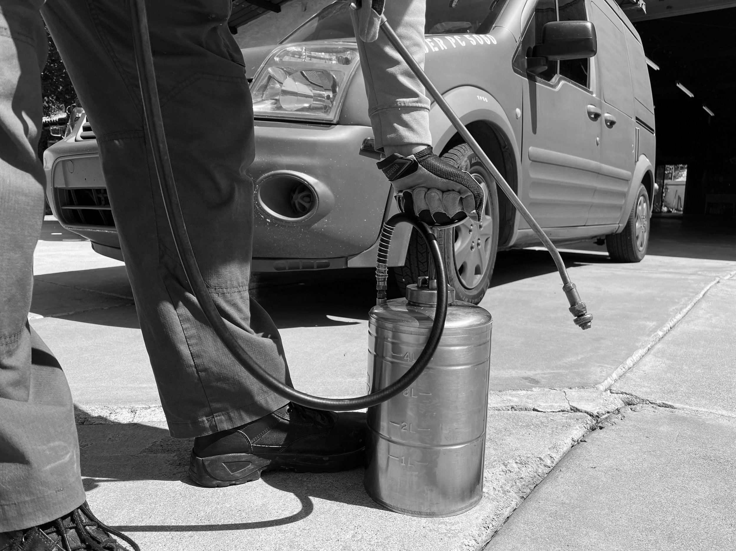 Gallery image 6 — emergency pest control Phoenix