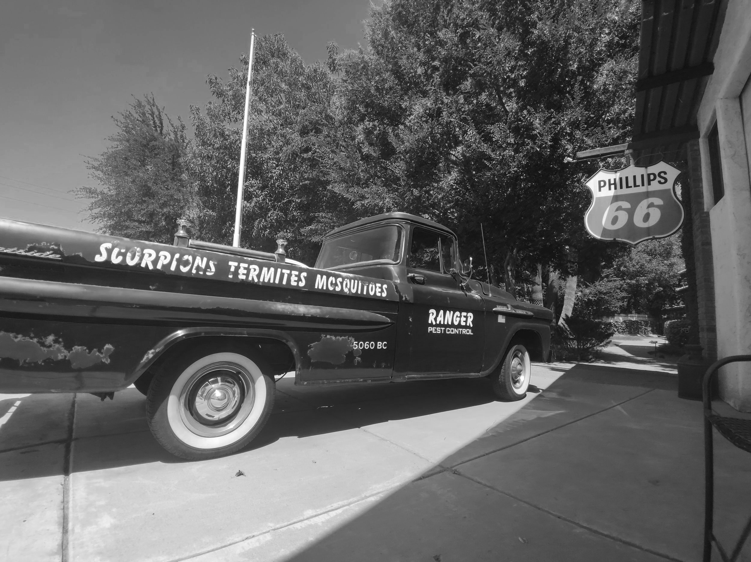 About emergency pest control Phoenix