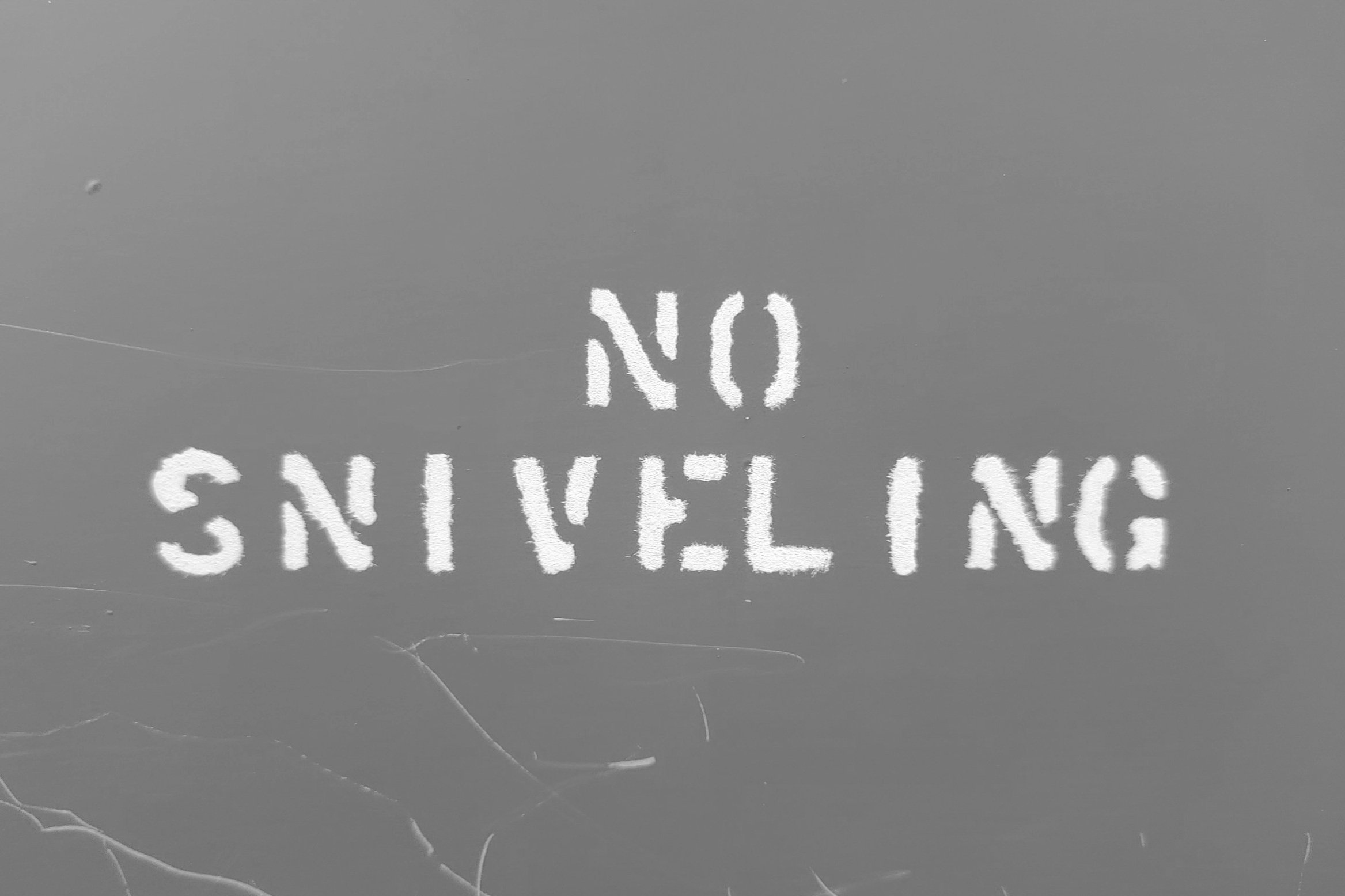 mosquito control Phoenix