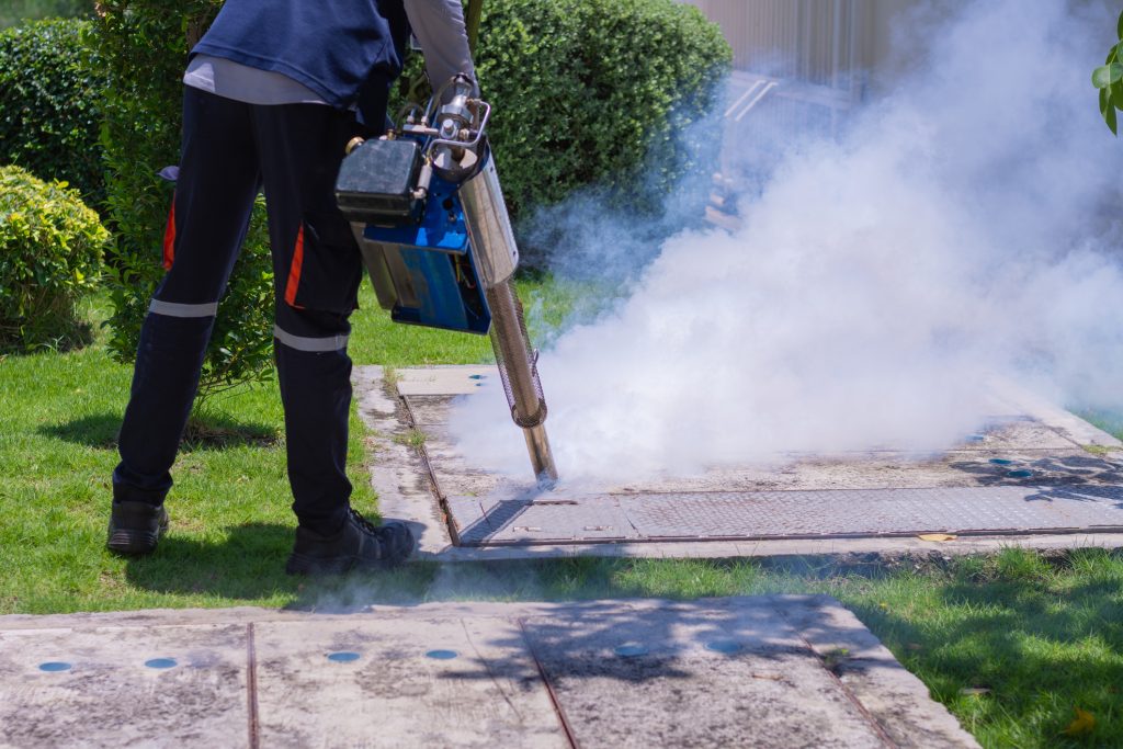 Gallery image 13 — emergency rodent control Cave Creek