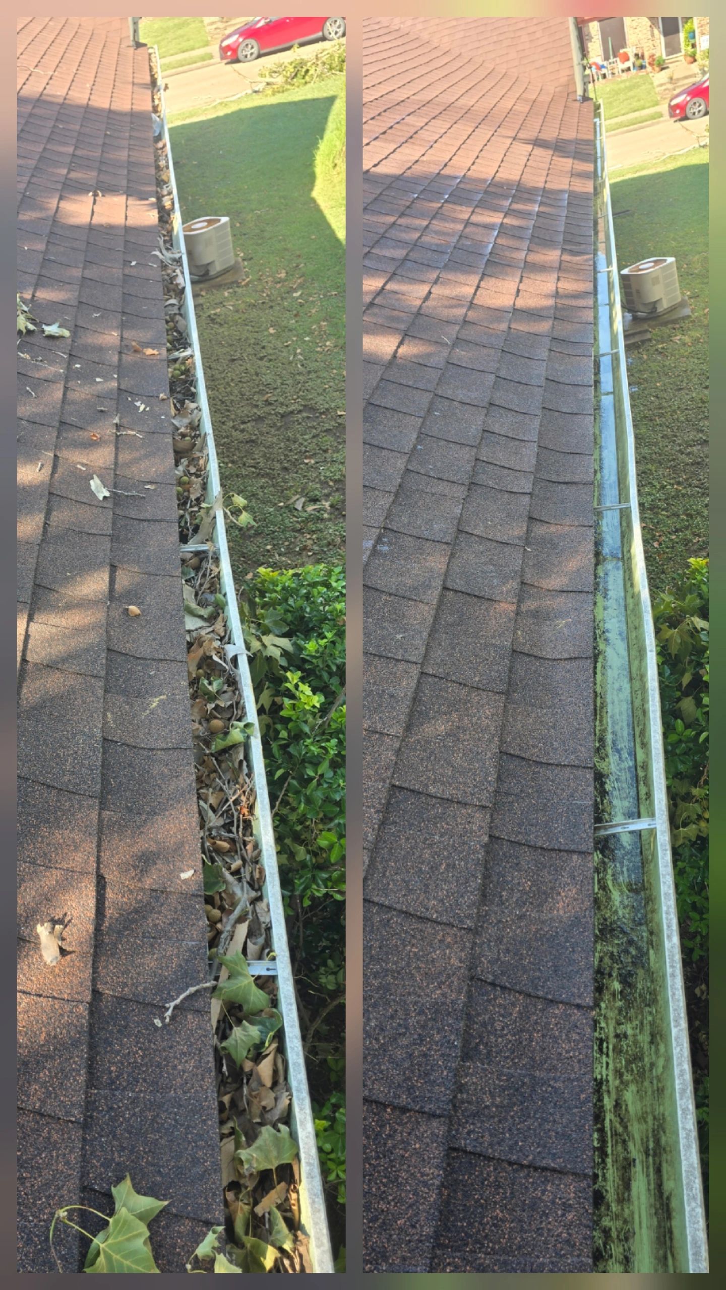 reliable gutter cleaners TX