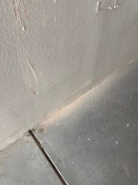 Gallery image 7 — spider elimination in Sun City