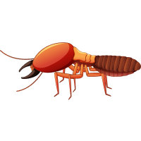 Gallery image 2 — same day pest control Phoenix