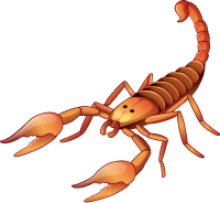 Gallery image 3 — same day pest control Phoenix