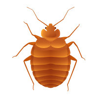 Gallery image 4 — same day pest control Phoenix