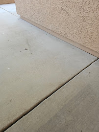 About same day pest control Phoenix