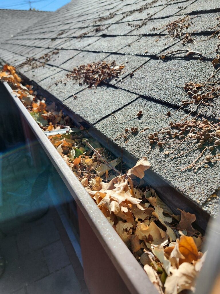 Gallery image 2 — residential window cleaning Park Cities