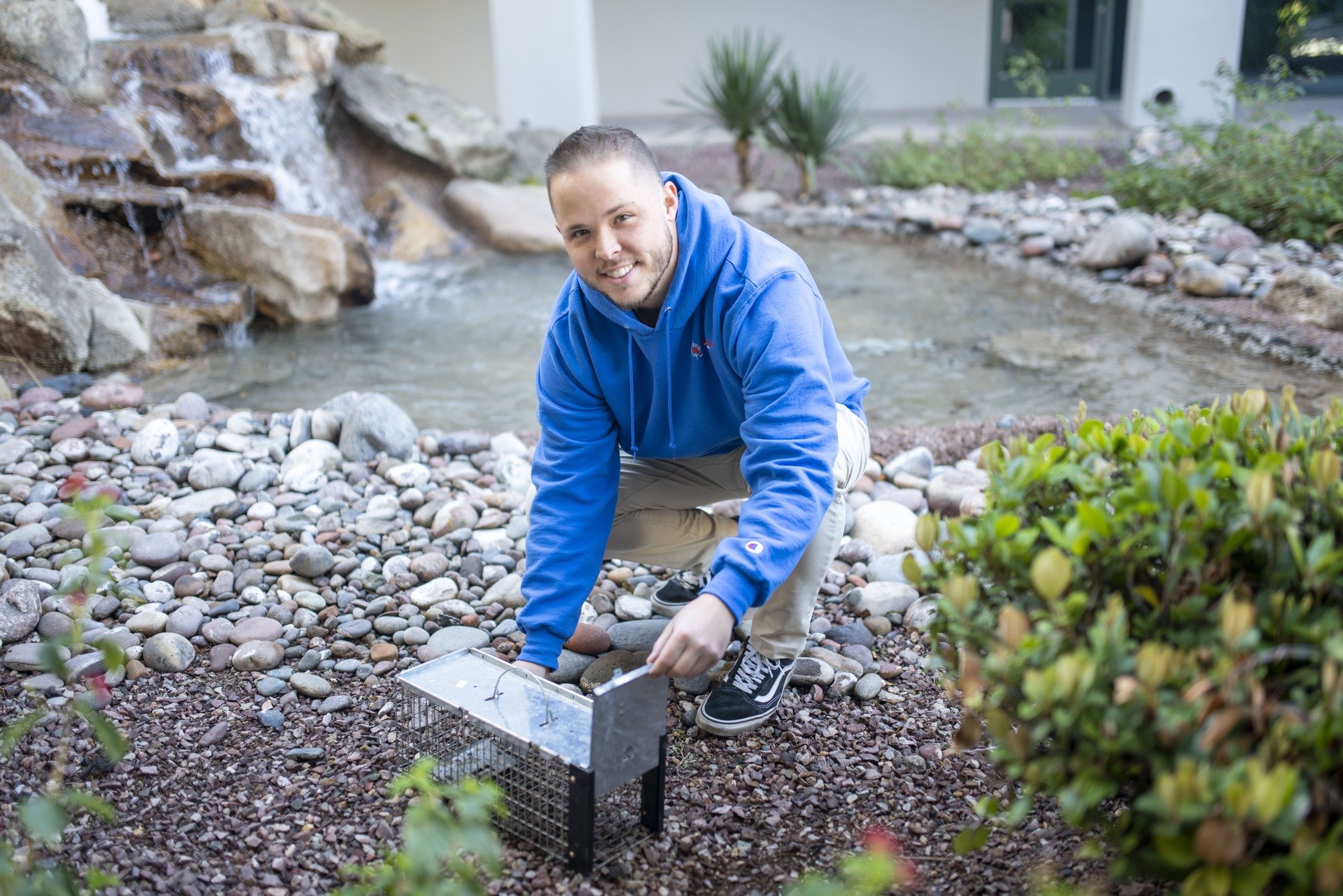Gallery image 4 — ant control in Cave Creek