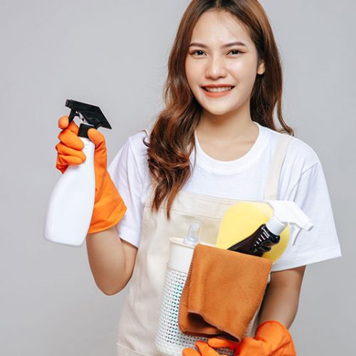 affordable window cleaning Allen