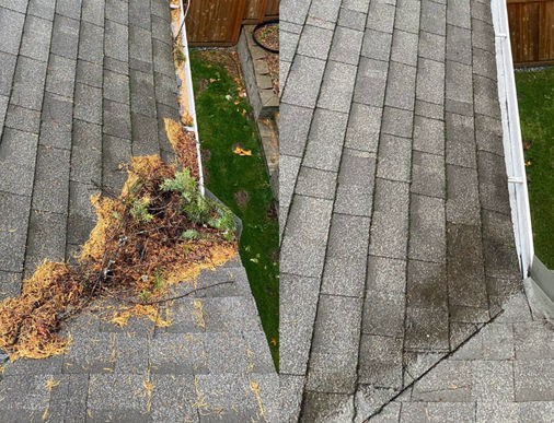 Gallery image 8 — same day window cleaning Dallas