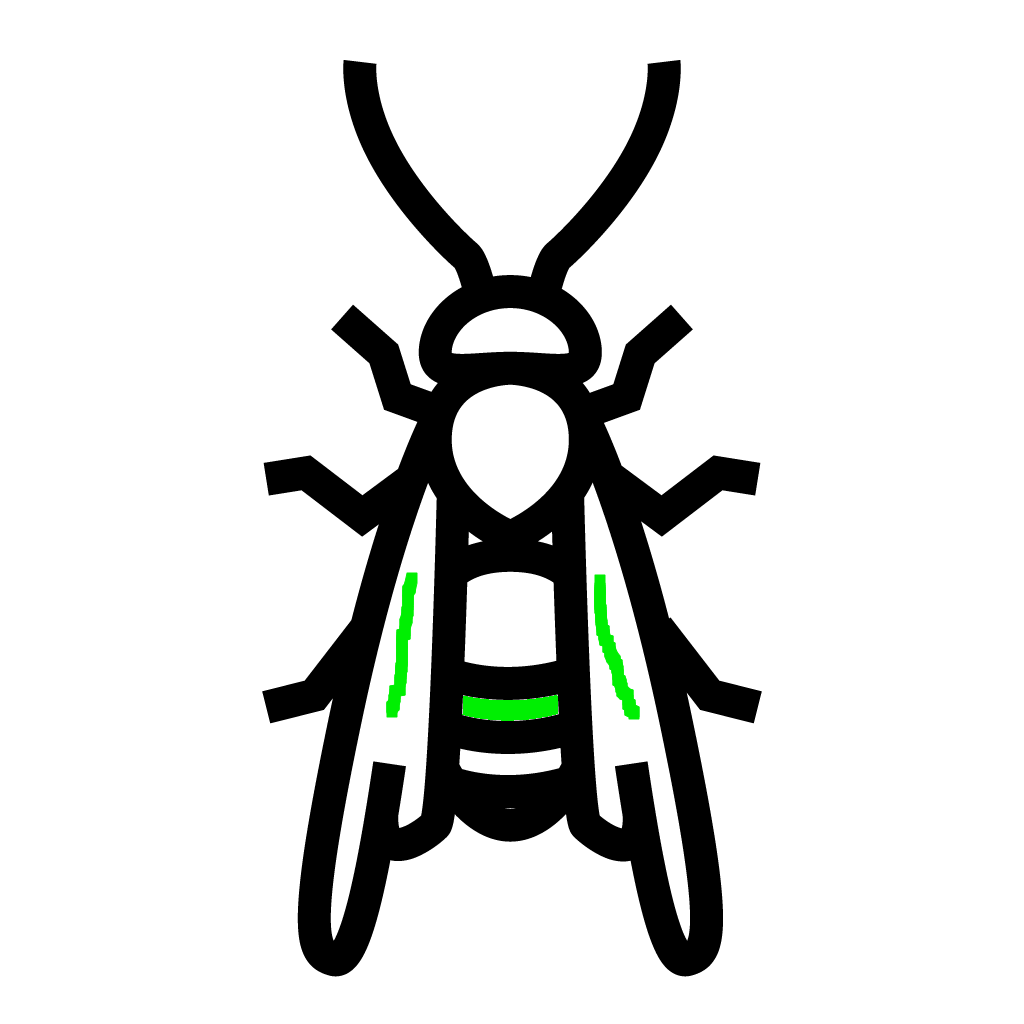 Gallery image 10 — mosquito control near me