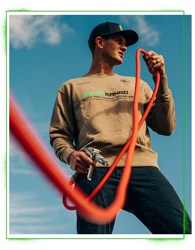 Gallery image 7 — scorpion control Phoenix