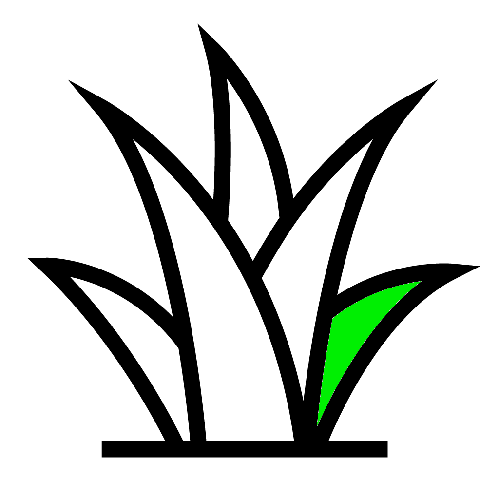 Gallery image 3 — mosquito control near me