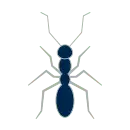 Gallery image 5 — commercial pest control Phoenix