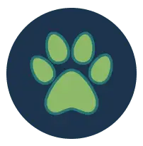 Gallery image 6 — commercial pest control Phoenix