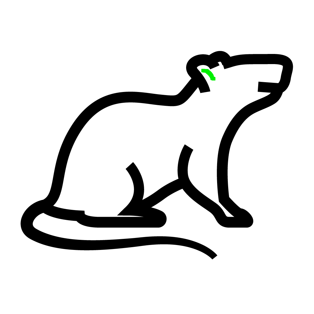 Gallery image 6 — rodent removal in Phoenix