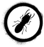 Gallery image 8 — rodent removal in Phoenix