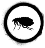 Gallery image 4 — rodent removal in Phoenix