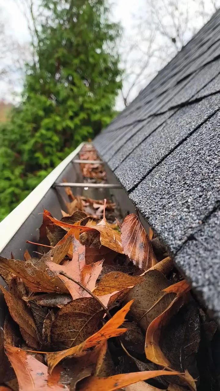 gutter cleaning for two-story homes Austin metropolitan area