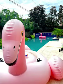 Gallery image 1 — window cleaning in Houston