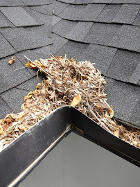 flat rate gutter cleaning Coppell