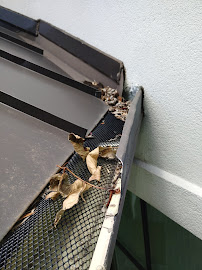 About gutter maintenance Coppell