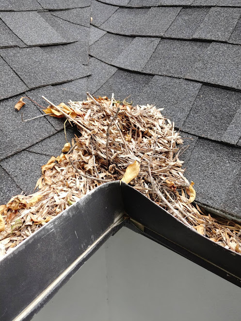 Gallery image 1 — gutter maintenance Coppell