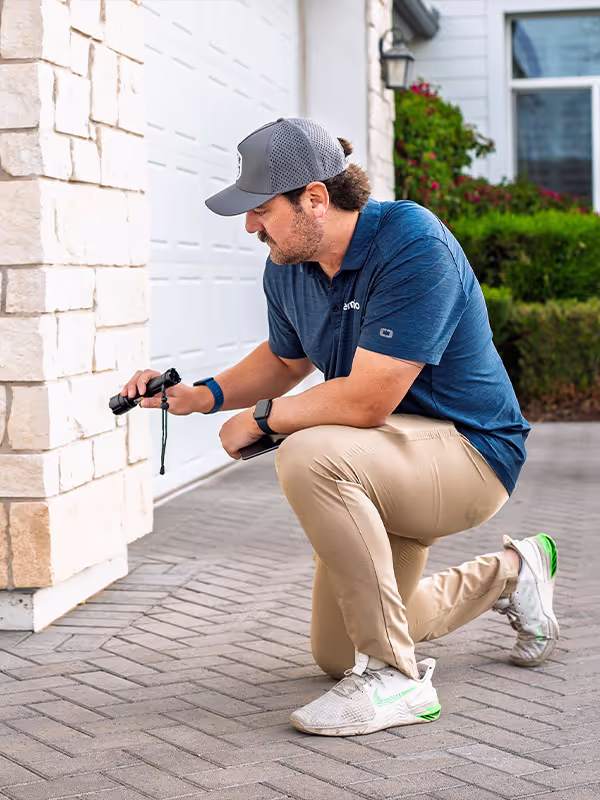 Gallery image 6 — commercial pest control in Tempe