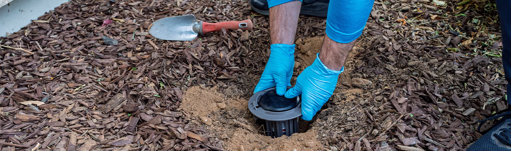 Gallery image 1 — commercial pest control in Tempe