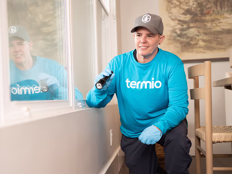 Gallery image 2 — residential pest control Tempe