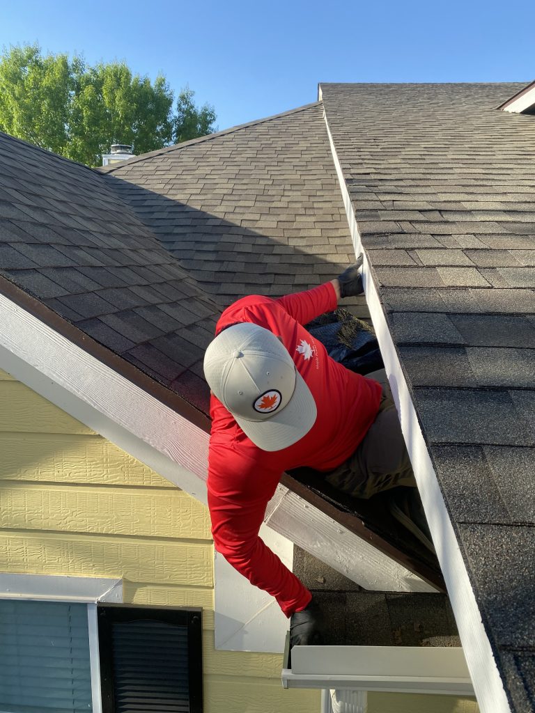 Gallery image 5 — trash can cleaning service Dallas