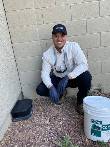 About pest control Phoenix
