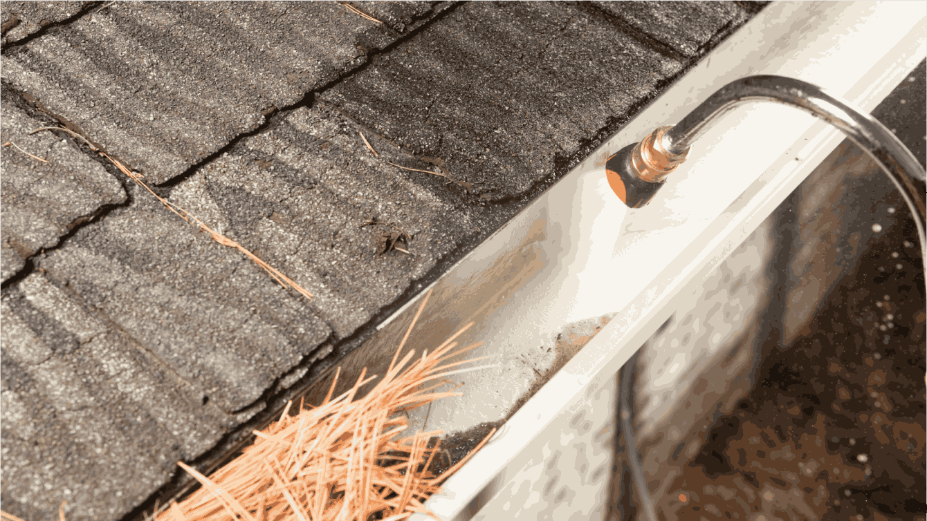 Gallery image 2 — roof cleaning services in Austin