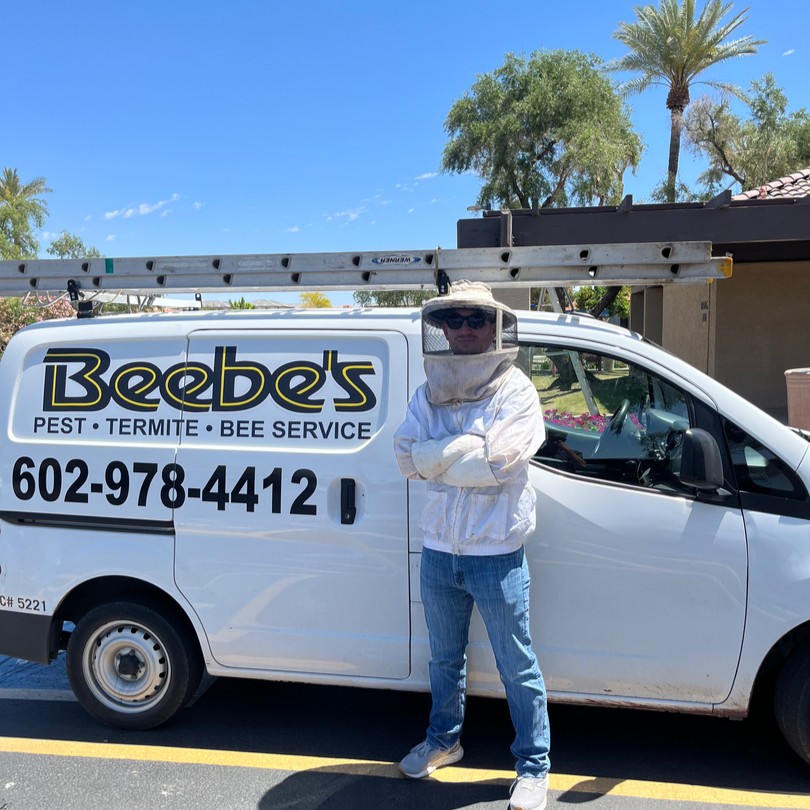 same-day pest control Phoenix