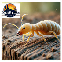 Gallery image 2 — emergency pest control near me