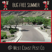 Gallery image 5 — solar panel bird guard installation Phoenix