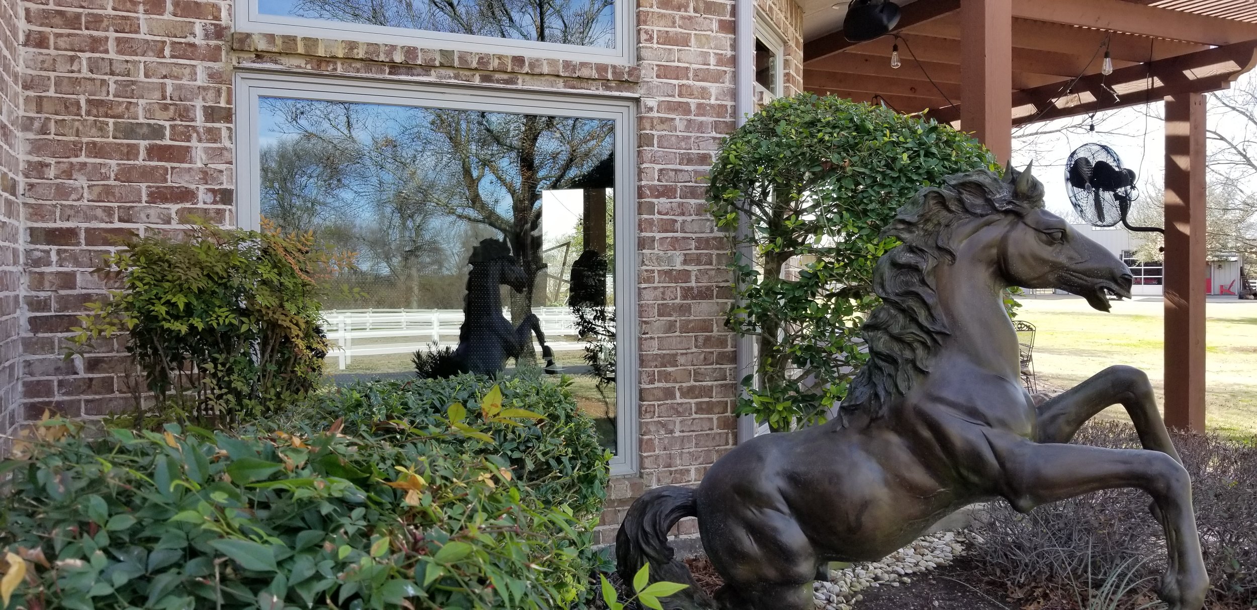 Gallery image 14 — Diamond Shine Windows