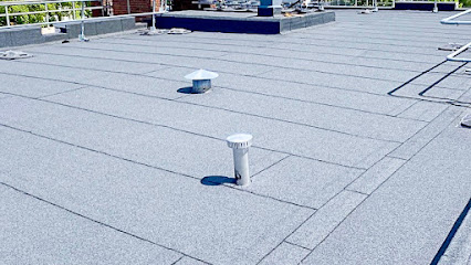 emergency roof repair Chicagoland