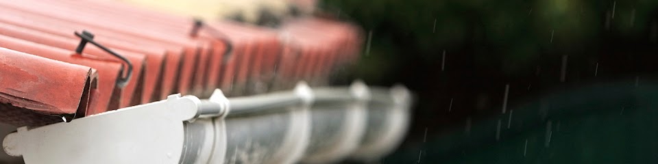 gutter maintenance Austin