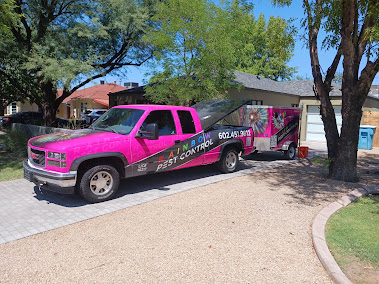 Gallery image 3 — emergency pest control Phoenix