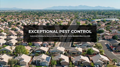 Gallery image 6 — scorpion control Phoenix AZ