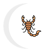 Gallery image 4 — scorpion control Phoenix AZ