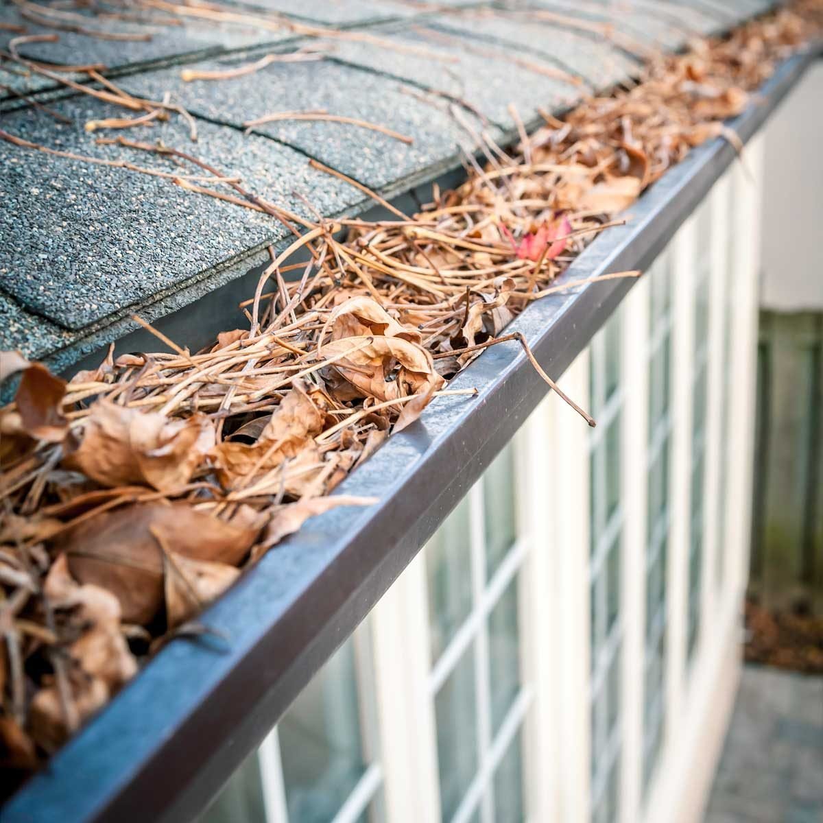 Gallery image 2 — professional pressure washing in Colorado Springs